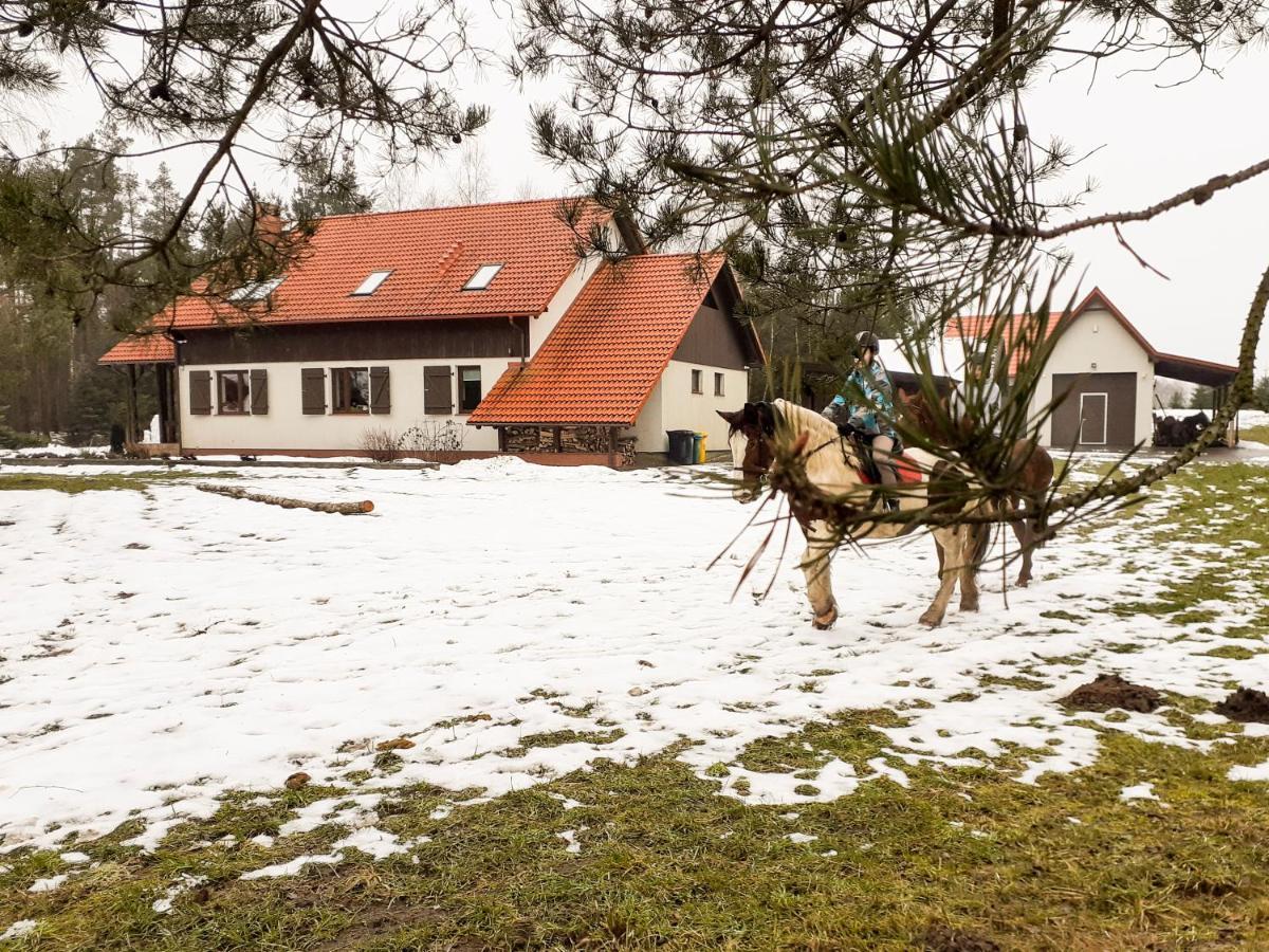 Przytulisko Stara Kiszewa Villa Exterior photo